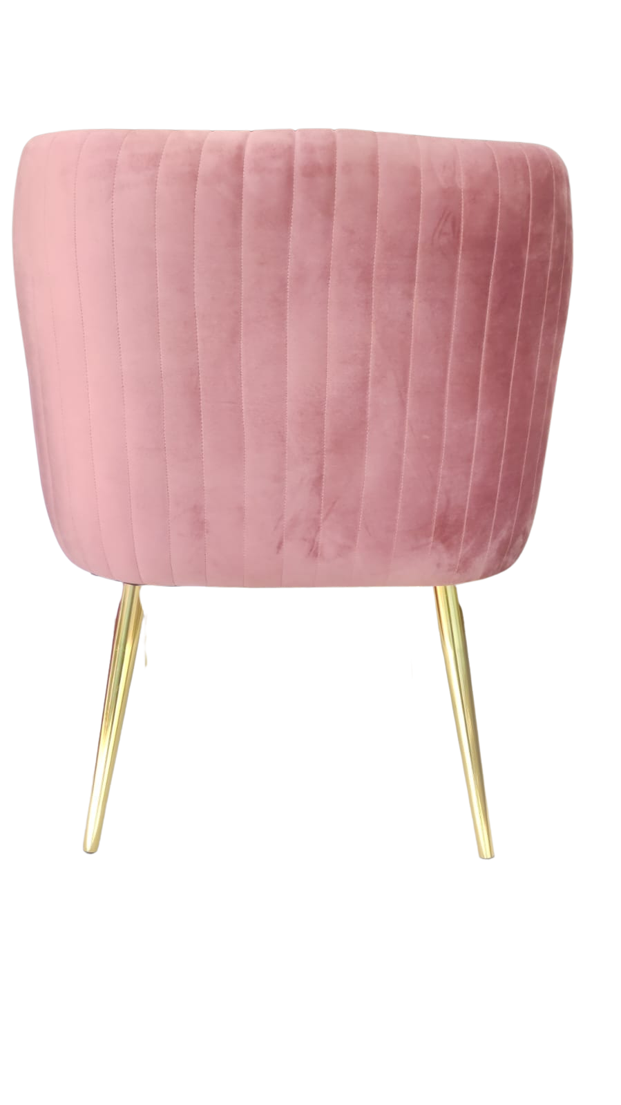 Silla Gaia – Diseño envolvente con estilo contemporáneo