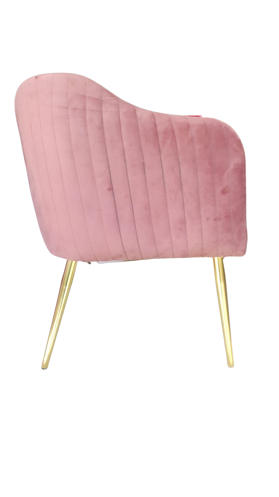 Silla Gaia – Diseño envolvente con estilo contemporáneo